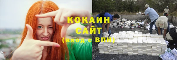 кокс Бородино