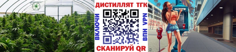 ТГК THC oil  Кореновск 